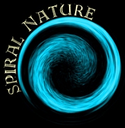 [Spiral Nature]