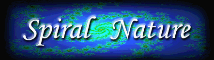 [Spiral Nature Banner (Large)]