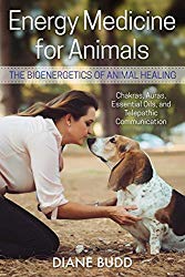 Energy Medicine for Animals, by Diane Budd