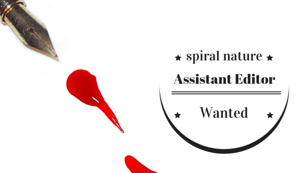 Assistant editor wanted