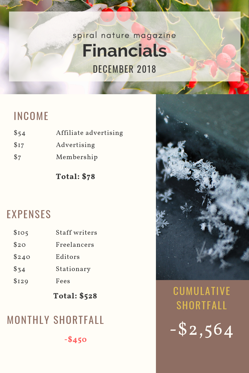 December 2018 Spiral Nature Financials
