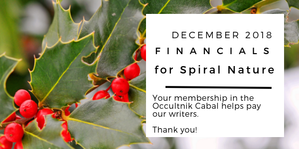 Financials for Spiral Nature December 2018