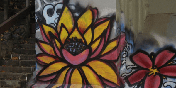 Lotus graffiti, photo by seethruu55