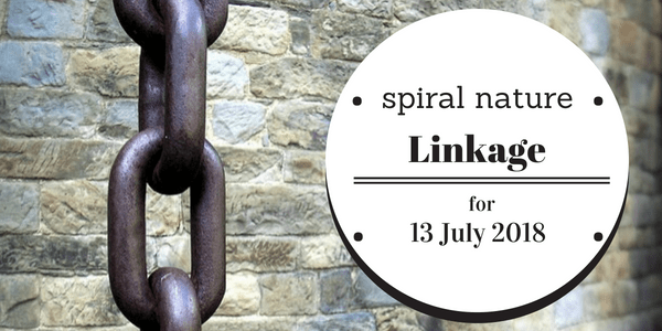 Spiral Nature Linkage for Friday, 13 July 2018