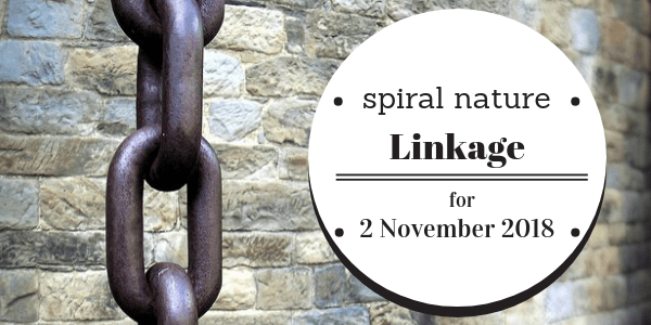 Spiral Nature Linkage for Friday, 2 November 2018