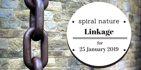 Spiral Nature Linkage for Friday, 25 January 2019