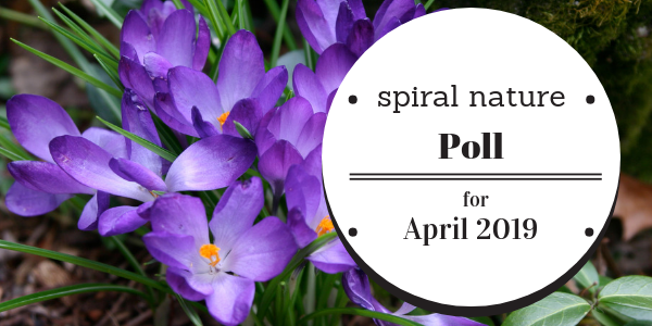 Spiral Nature Poll for April 2019