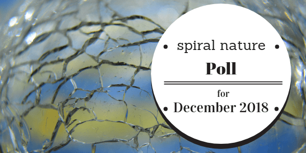 Spiral Nature Poll for December 2018 (1)