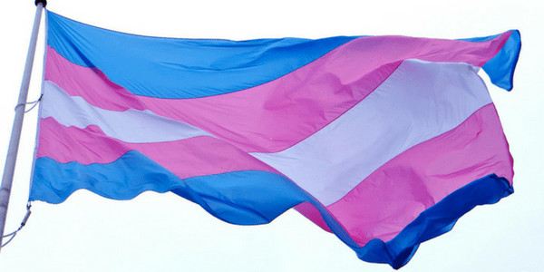Transgender flag, photo by torbakhopper