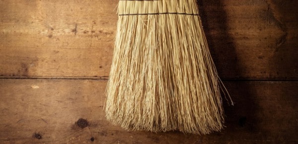 Broom, photo by Bob Jagendorf