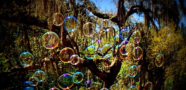 Bubble tree, photo by George