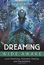 Dreaming Wide Awake, by David Jay Brown