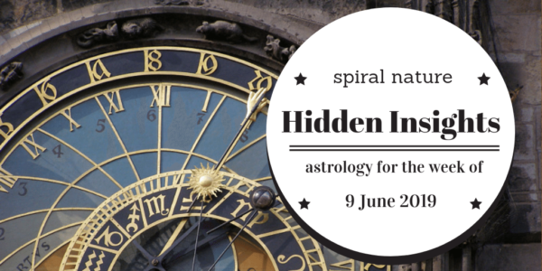 Hidden Insights: Week of 9 June 2019