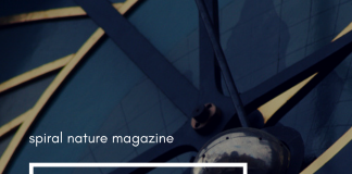 Hidden Insights: Astrology for the week of 10 March 2019 Hidden Insights: Astrology