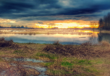 Witchcraft and Secret Societies of Rural England, by Nigel Pennick Witchcraft and Secret Societies of Rural England, by Nigel Pennick at Spiral Nature