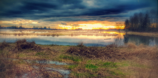 Witchcraft and Secret Societies of Rural England, by Nigel Pennick Witchcraft and Secret Societies of Rural England, by Nigel Pennick at Spiral Nature