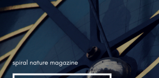 Hidden Insights: Astrology for the week of 2 December 2018