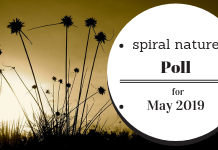 Poll: Who would you like to learn more about? Spiral Nature Poll for May 2019
