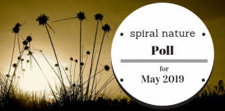 Poll: Who would you like to learn more about? Spiral Nature Poll for May 2019