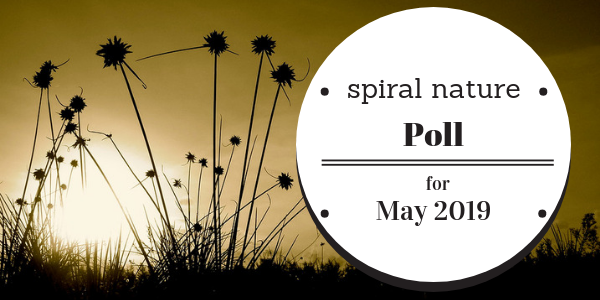 Spiral Nature Poll for May 2019