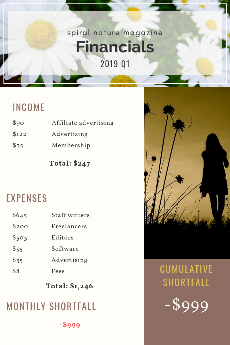 2019 Q1 Financials for Spiral Nature Magazine