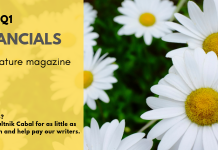 2019 Q1 financials for Spiral Nature Magazine 2019 Q1 Spiral Nature Financials