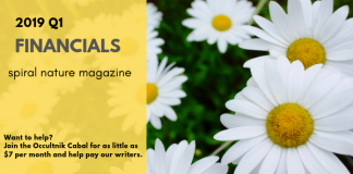 2019 Q1 financials for Spiral Nature Magazine 2019 Q1 Spiral Nature Financials
