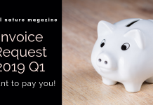 2019 Q1: Invoice me, I want to pay you 2019 Q1 Invoice request