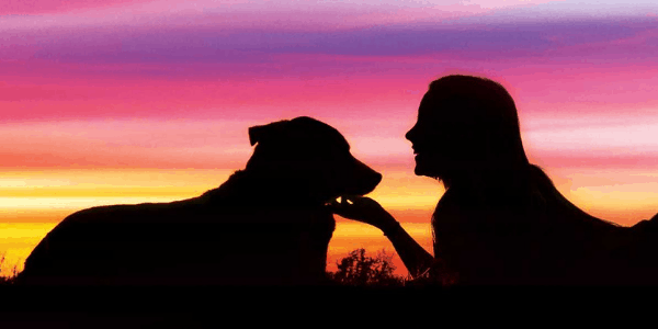 Soul Healing with our Animal Companions, by Tammy Billups