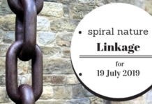 Linkage: Ithell Colquhoun, neutrality, and superbeings 2019-07-19 Spiral Nature Linkage