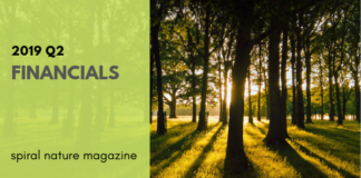 2019 Q2 financials for Spiral Nature Magazine 2019 Q2 Spiral Nature Financials