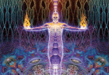 The New Psychedelic Revolution, by James Oroc The New Psychedelic Revolution by James Oroc