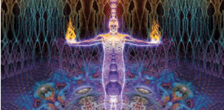 The New Psychedelic Revolution, by James Oroc The New Psychedelic Revolution by James Oroc