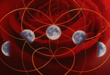 Womb Awakening, by Azra and Seren Bertrand Womb Awakening by Azra and Seren Bertrand