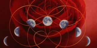 Womb Awakening, by Azra and Seren Bertrand Womb Awakening by Azra and Seren Bertrand