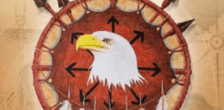 Shamanic Medicine Oracle Cards The Shamanic Medicine Oracle Deck by Free and Peters