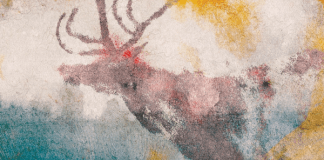 Shaman’s Oracle Shaman's Oracle deck