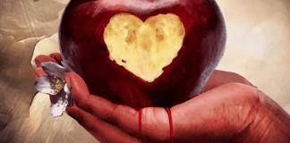 Halloween Oracle App Halloween Oracle by Stacey Demarco