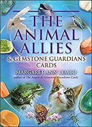 Cover of Box for Animal Allies