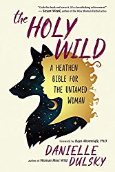 The Holy Wild by Danielle Dulsky