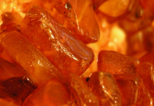Amber and its ancient healing properties Amber, photo by Karen Bhamra