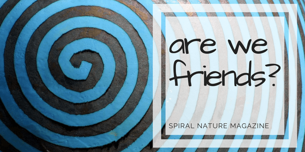 Are we friends? Are we friends?