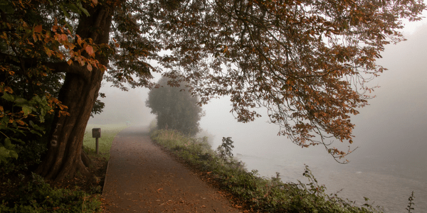 Autumn mist, photo by Jeremy Segrott