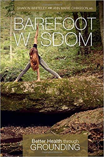 Barefoot Wisdom book cover