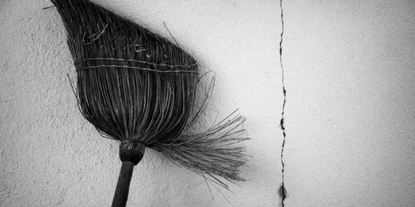 Broom by Rudolf Vlček (flickr)