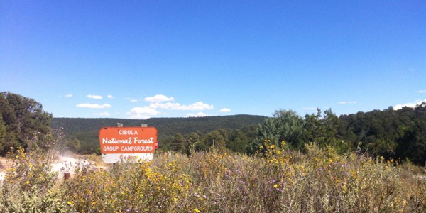 Cedro sign, photo by T Hunter