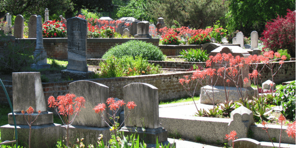 Cemetery in spring, photo by chuck b.