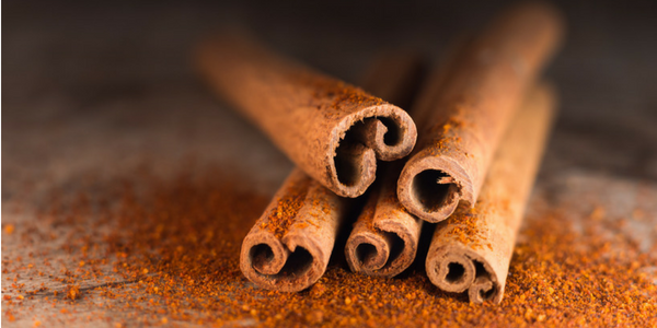 Cinnamon, photo by Theo Crazzolara