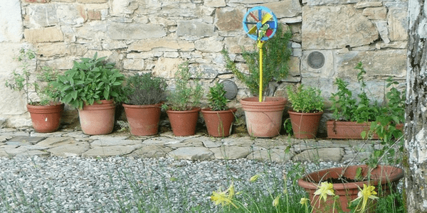 Container garden, photo by Cristina Sanvito