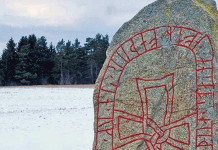 Runic Book of Days, by S. Kelley Harrell Runic Book of Days by S. Kelley Harrel